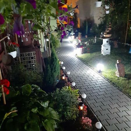 דירות סיגישוארה Casa Elena מראה חיצוני תמונה