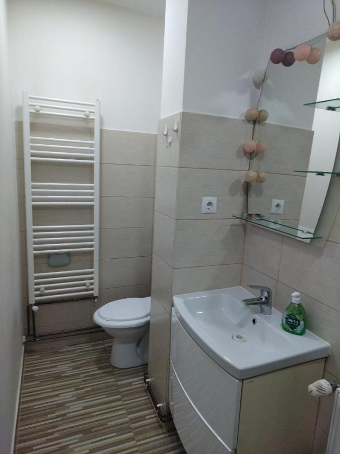 דירות סיגישוארה Casa Elena מראה חיצוני תמונה
