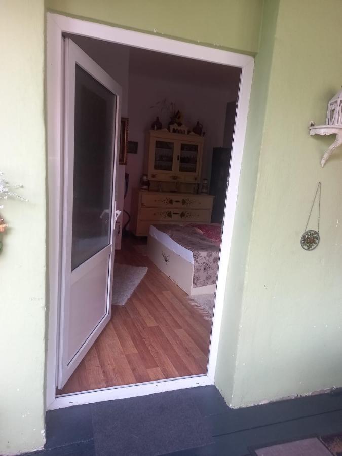 דירות סיגישוארה Casa Elena מראה חיצוני תמונה