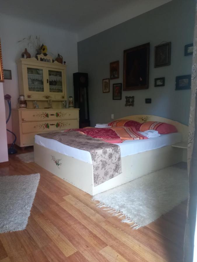 דירות סיגישוארה Casa Elena מראה חיצוני תמונה