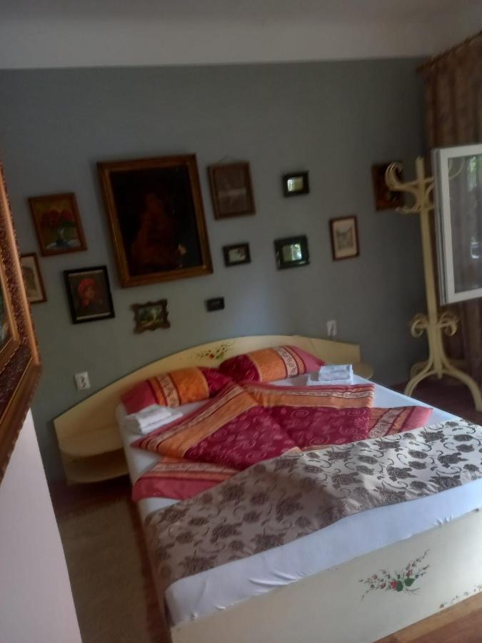 דירות סיגישוארה Casa Elena מראה חיצוני תמונה